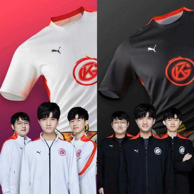 无论你关注 无论你关注