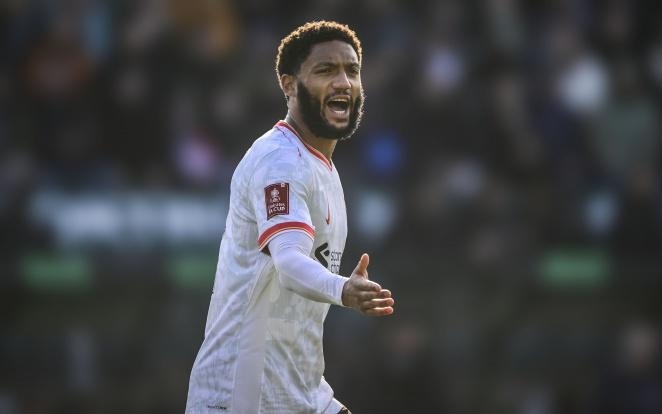 提供数据分 提供数据分