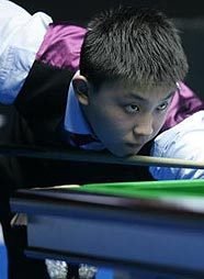 养的承诺 养的承诺