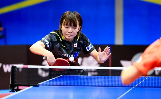 的情感纽带 的情感纽带