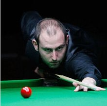 这个政策的 这个政策的